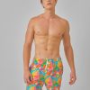 Apparel Blackbough Swim | Men'S Swim Shorts Island Tiki